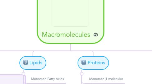 Mind Map: Macromolecules