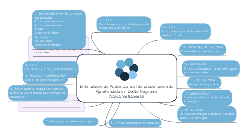 Mind Map: El Simulacro de Audiencia oral de presentacion de Aprehendido en Delito Flagrante DANA YARAMANI