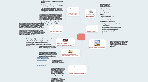 Mind Map: BIENES