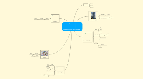 Mind Map: System walutowy w Watykanie