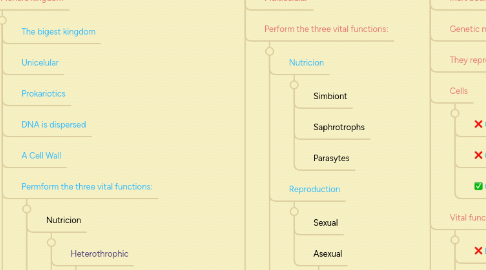 Mind Map: Biology Unit 2º The simplest life forms