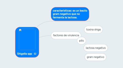 Mind Map: Shigella spp