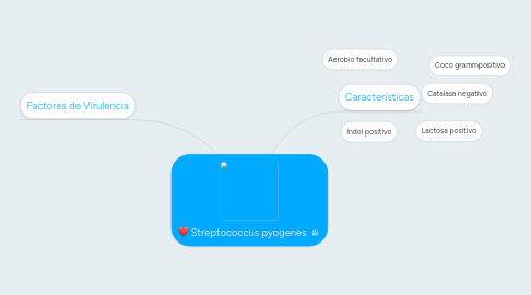 Mind Map: Streptococcus pyogenes