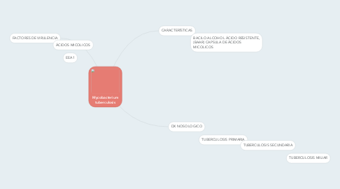 Mind Map: Mycobacterium tuberculosis