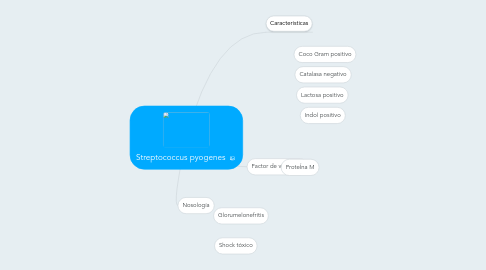 Mind Map: Streptococcus pyogenes