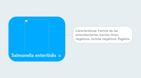 Mind Map: Salmonella enteritidis