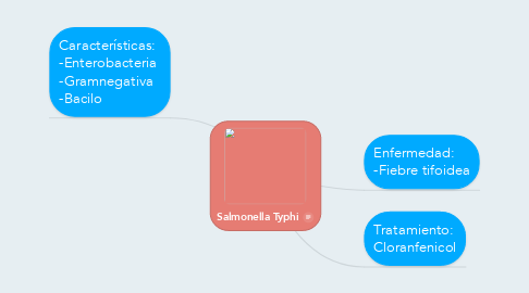 Mind Map: Salmonella Typhi
