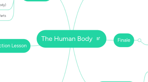 Mind Map: The Human Body