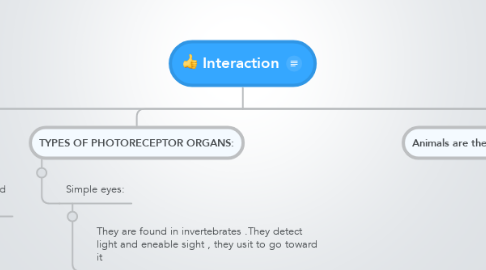 Mind Map: Interaction