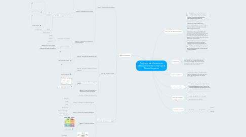 Mind Map: Programa de Mentoria em Desenvolvimento de Startups & Novos Negócios