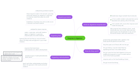 Mind Map: Enzymes in digestion