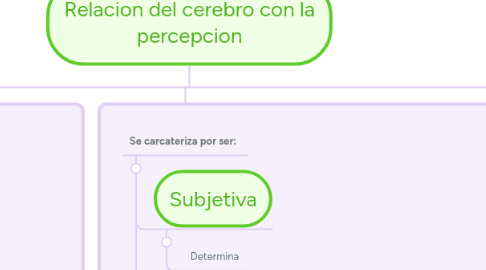 Mind Map: Relacion del cerebro con la percepcion