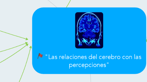 Mind Map: "Las relaciones del cerebro con las percepciones"