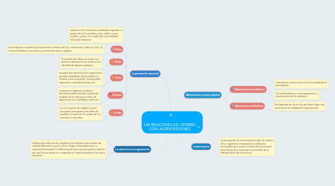 Mind Map: LAS RELACIONES DEL CEREBRO CON LAS PERCEPCIONES