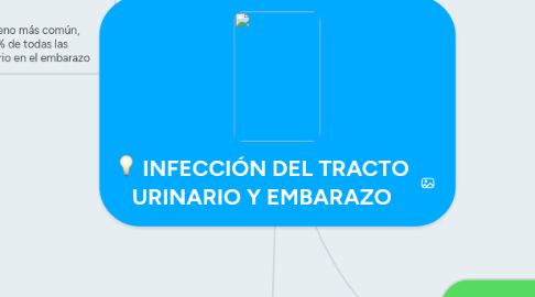 Mind Map: INFECCIÓN DEL TRACTO URINARIO Y EMBARAZO