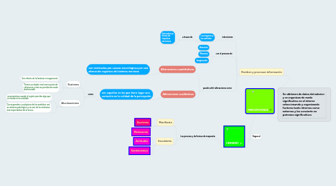 Mind Map: PERCEPCIONES