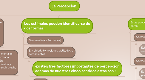 Mind Map: La Percepcion.