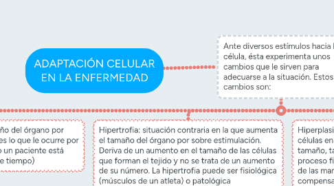 Mind Map: ADAPTACIÓN CELULAR EN LA ENFERMEDAD