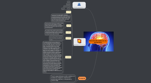 Mind Map: Relaciones del cerebro con las percepciones.