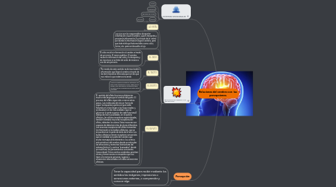 Mind Map: Relaciones del cerebro con  las  percepciones.