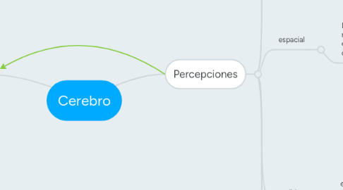 Mind Map: Cerebro