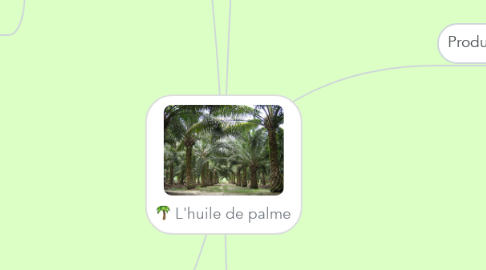 Mind Map: L'huile de palme