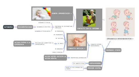 Mind Map: DESARROLLO SENSORIOMOTOR