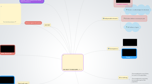 Mind Map: THE RIGHT TO BEAR ARMS :