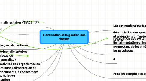 Mind Map: L'évaluation et la gestion des risques