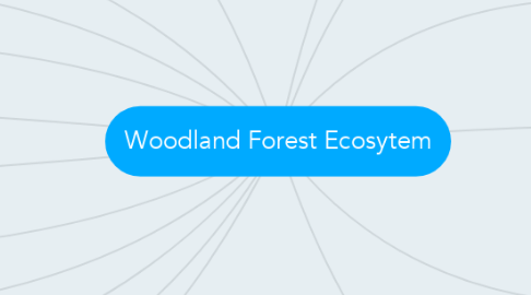 Mind Map: Woodland Forest Ecosytem