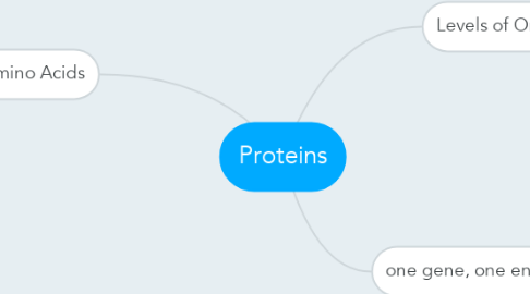 Mind Map: Proteins