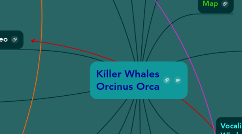Mind Map: Killer Whales Orcinus Orca