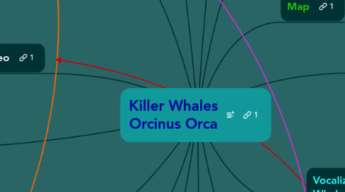 Mind Map: Killer Whales Orcinus Orca