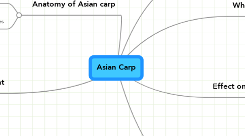 Mind Map: Asian Carp