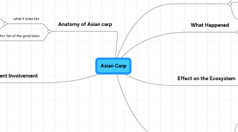 Mind Map: Asian Carp