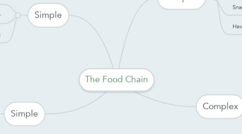 Mind Map: The Food Chain