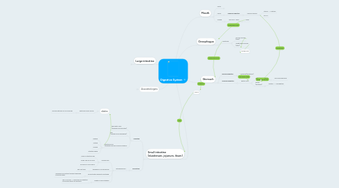 Mind Map: Digestive System