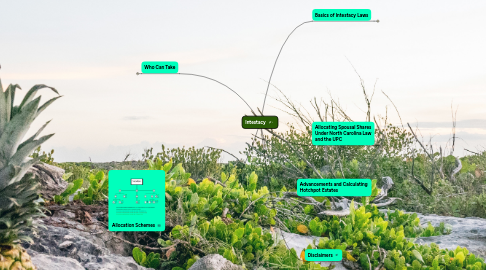 Mind Map: Intestacy