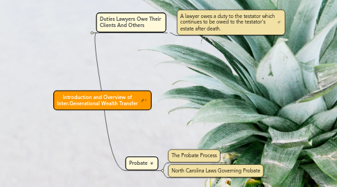 Mind Map: Introduction and Overview of Inter-Generational Wealth Transfer