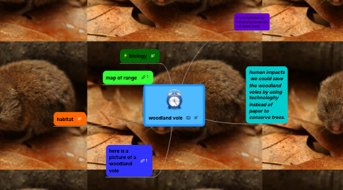 Mind Map: woodland vole