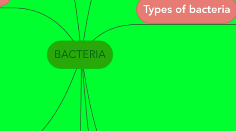 Mind Map: BACTERIA