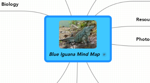 Mind Map: Blue Iguana Mind Map