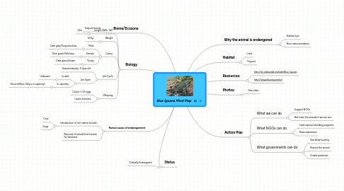 Mind Map: Blue Iguana Mind Map