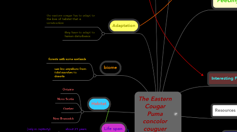 Mind Map: The Eastern Cougar Puma concolor couguer