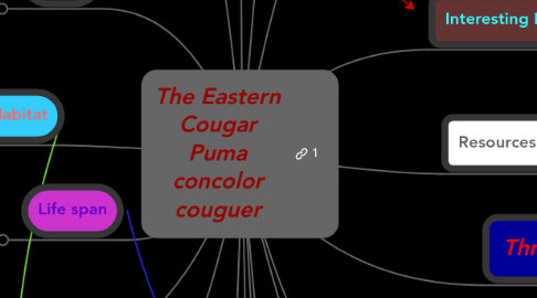 Mind Map: The Eastern Cougar Puma concolor couguer