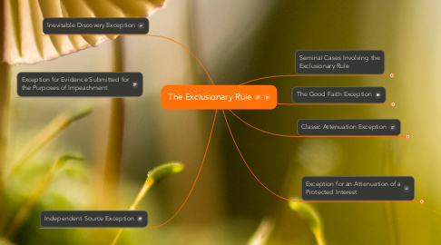 Mind Map: The Exclusionary Rule