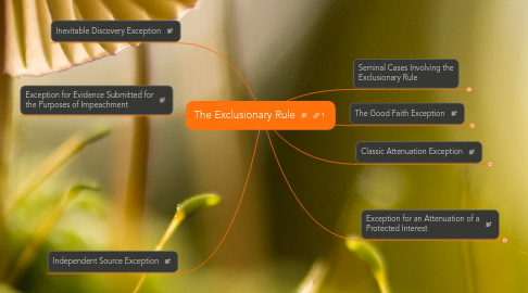 Mind Map: The Exclusionary Rule