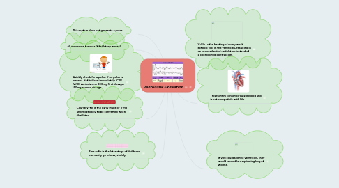 Mind Map: Ventricular Fibrillation