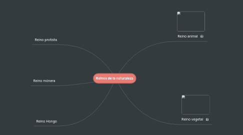 Mind Map: Reinos de la naturaleza