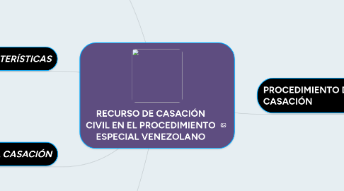 Mind Map: RECURSO DE CASACIÓN CIVIL EN EL PROCEDIMIENTO ESPECIAL VENEZOLANO